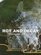 Rot and Decay: Decomposing and Recycling