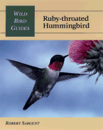Ruby-throated hummingbird