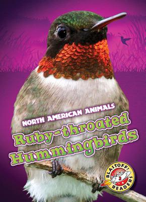 Ruby-Throated Hummingbirds - Bowman, Chris