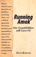 Running Amok - Rosenak, David