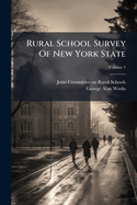 Rural School Survey Of New York State; Volume 1