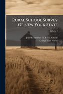 Rural School Survey Of New York State; Volume 5