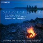 Saarella Palaa
