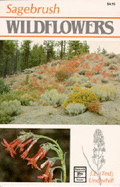 Sagebrush Wildflowers