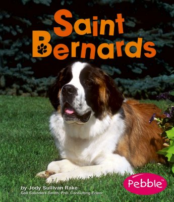 Saint Bernards - Rake, Jody S