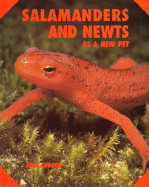 Salamanders Newts New Pet