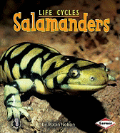 Salamanders