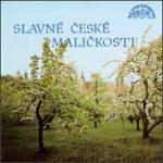 Salvne Ceske Malickosti