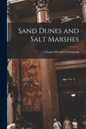 Sand Dunes and Salt Marshes