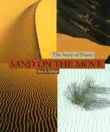 Sand on the Move