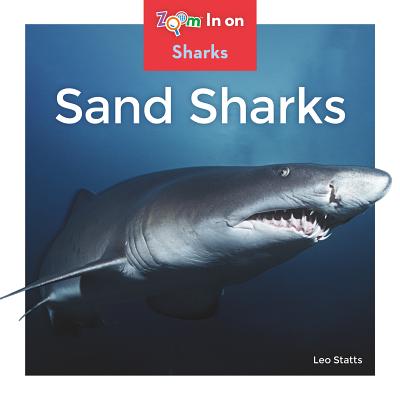 Sand Sharks - Statts, Leo