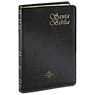 Santa Biblia-Rvr 1960