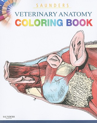 Saunders Veterinary Anatomy Coloring Book - Singh, Baljit, and Saunders