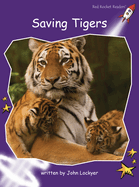 Saving Tigers