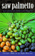 Saw Palmetto: The Herb for Prostate Health