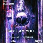 Say I am You (Mevlana)