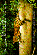 SC-Endang Spec Pstcd C