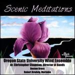 Scenic Meditations
