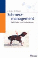 Schmerzmanagement - Henke; Erhardt