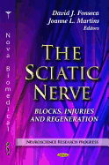 Sciatic Nerve: Blocks, Injuries & Regeneration