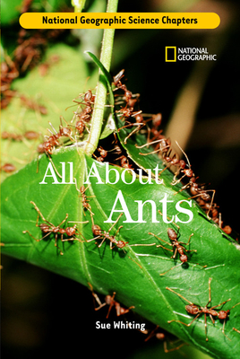Science Chapters: All about Ants - Whiting, Sue