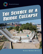 Science of a Bridge Collapse