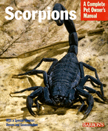 Scorpions: Everything about Purchase, Care, Feeding, and Housing