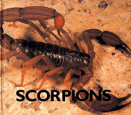 Scorpions