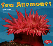 Sea Anemones
