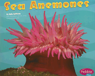 Sea Anemones
