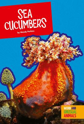 Sea Cucumbers - Perkins, Wendy