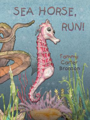 Sea Horse, Run! - 