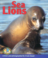 Sea Lions