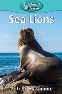 Sea Lions - Blakemore, Victoria