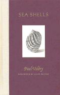 Sea Shells CL