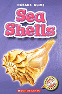 Sea Shells