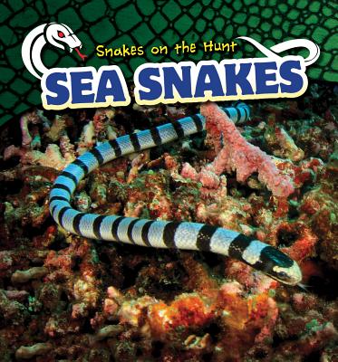 Sea Snakes - George, Gale