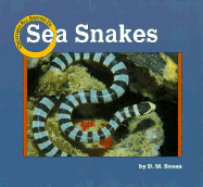 Sea Snakes