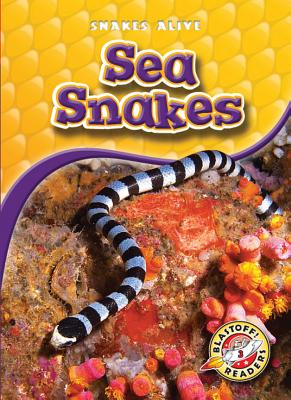 Sea Snakes - Christian, David (Narrator), and Sexton, Colleen