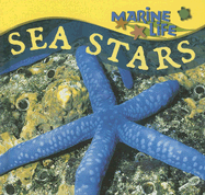Sea Stars