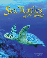 Sea Turtles of the World