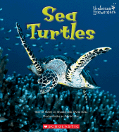 Sea Turtles - Rhodes, Mary Jo, and Hall, David (Photographer)