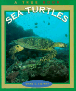 Sea Turtles