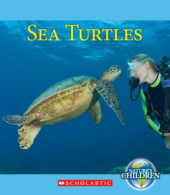 Sea Turtles - Franchino, Vicky