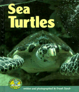 Sea Turtles