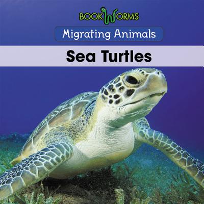 Sea Turtles - Best, B J