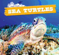 Sea Turtles