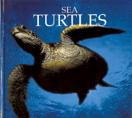 Sea Turtles - Patton, Don