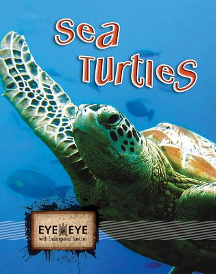 Sea Turtles - Rodriguez, Cindy