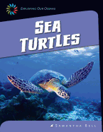 Sea Turtles